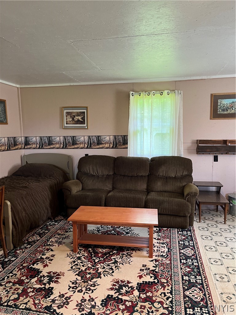 0 Brown Road Adams, NY 13605 - Photo 21 of 30