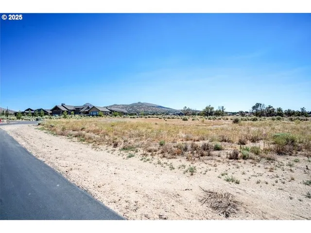 a view of a field with lots of bushes