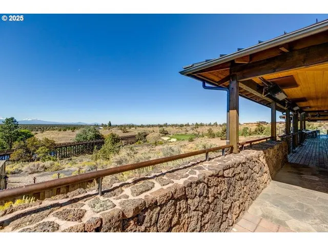 a view of a swimming pool with lawn chairs and a large tree