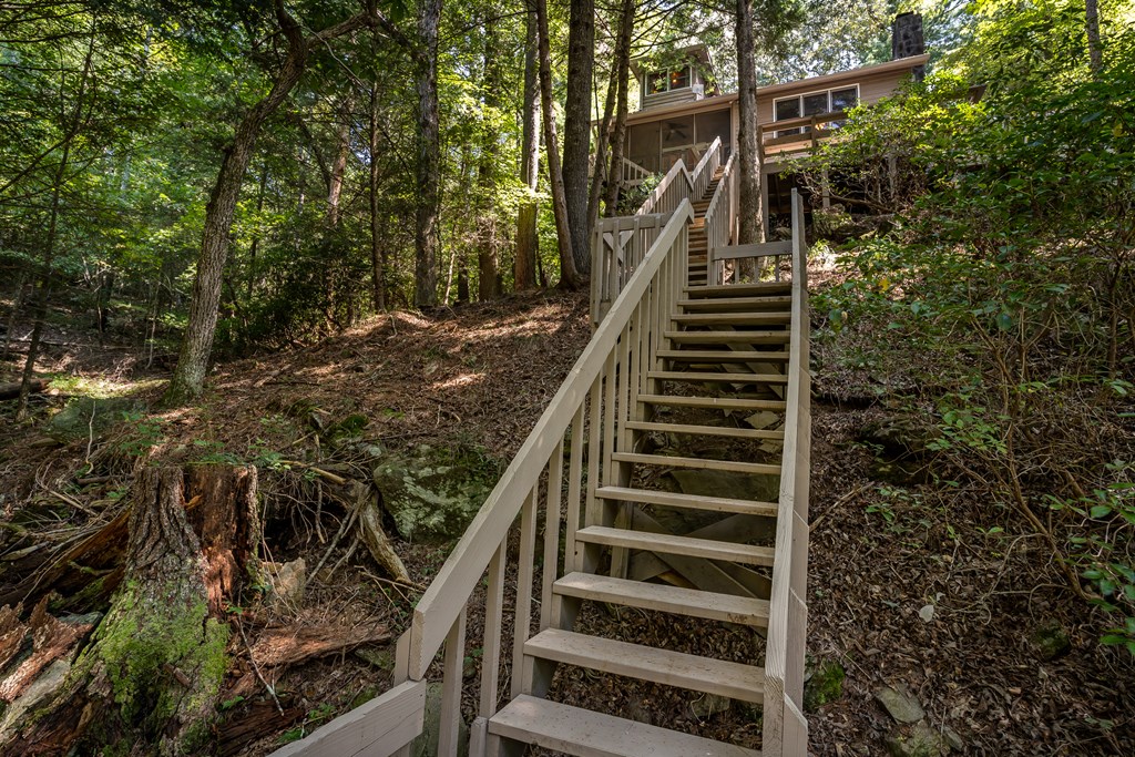 263 Indian Cave Road Ellijay, GA 30536 - Photo 34 of 50