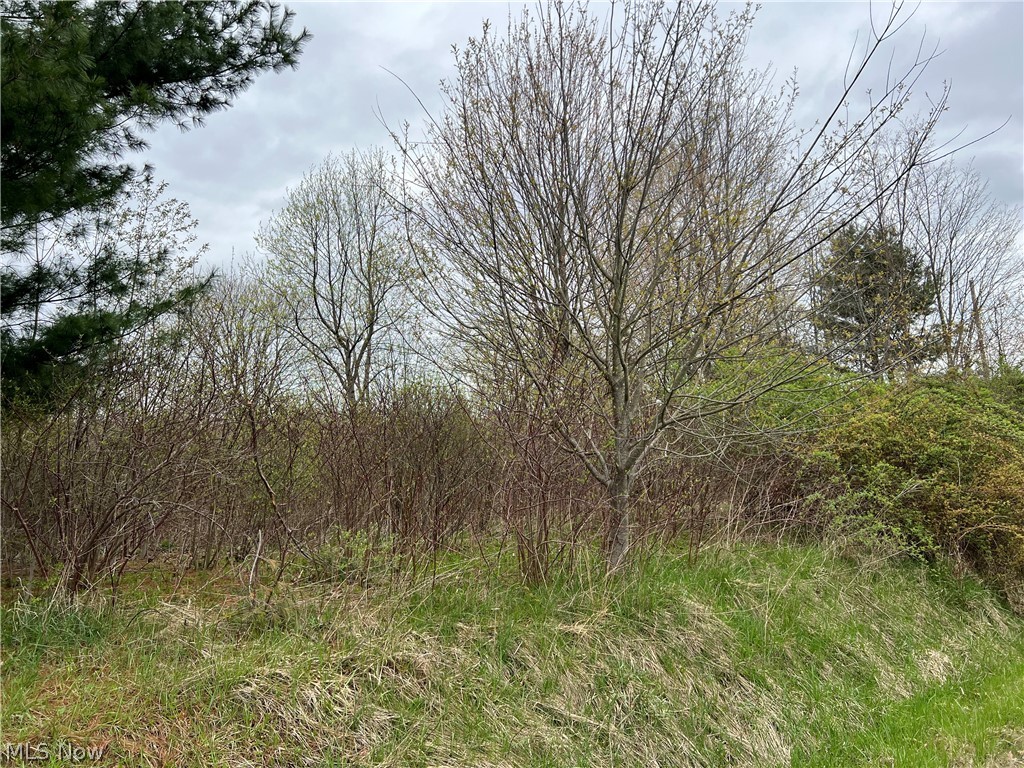 V/l Middle Road Conneaut, OH 44030 - Photo 1 of 3 View from the street