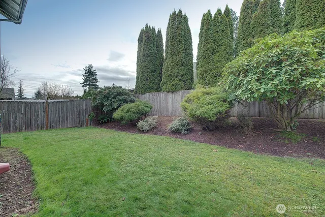 a view of a backyard with potted plants and wooden fence