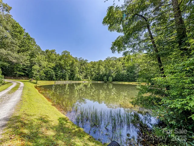 a view of a lake with a large trees