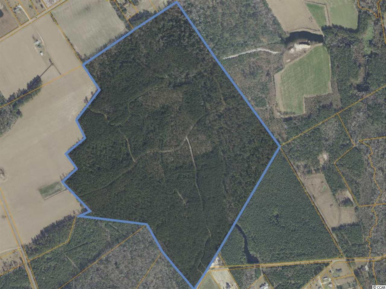 Tbd Norris Road Conway, SC 29526 - Photo 2 of 7 Gallery Image 2