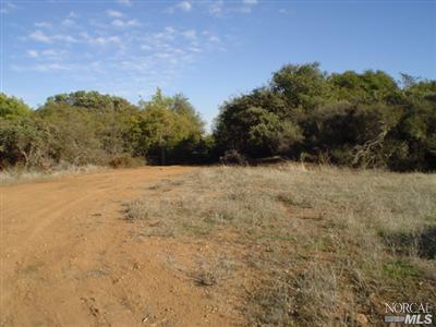 Off Adobe CR Rd, looking North East