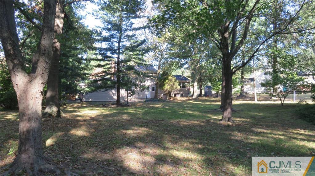 22 Perry Road East Brunswick, NJ 08816 - Photo 7 of 10 a view of trees