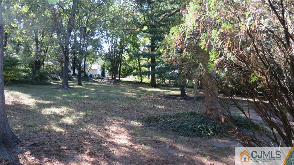 22 Perry Road East Brunswick, NJ 08816 - Photo 10 of 10 a view of a forest with trees in the background