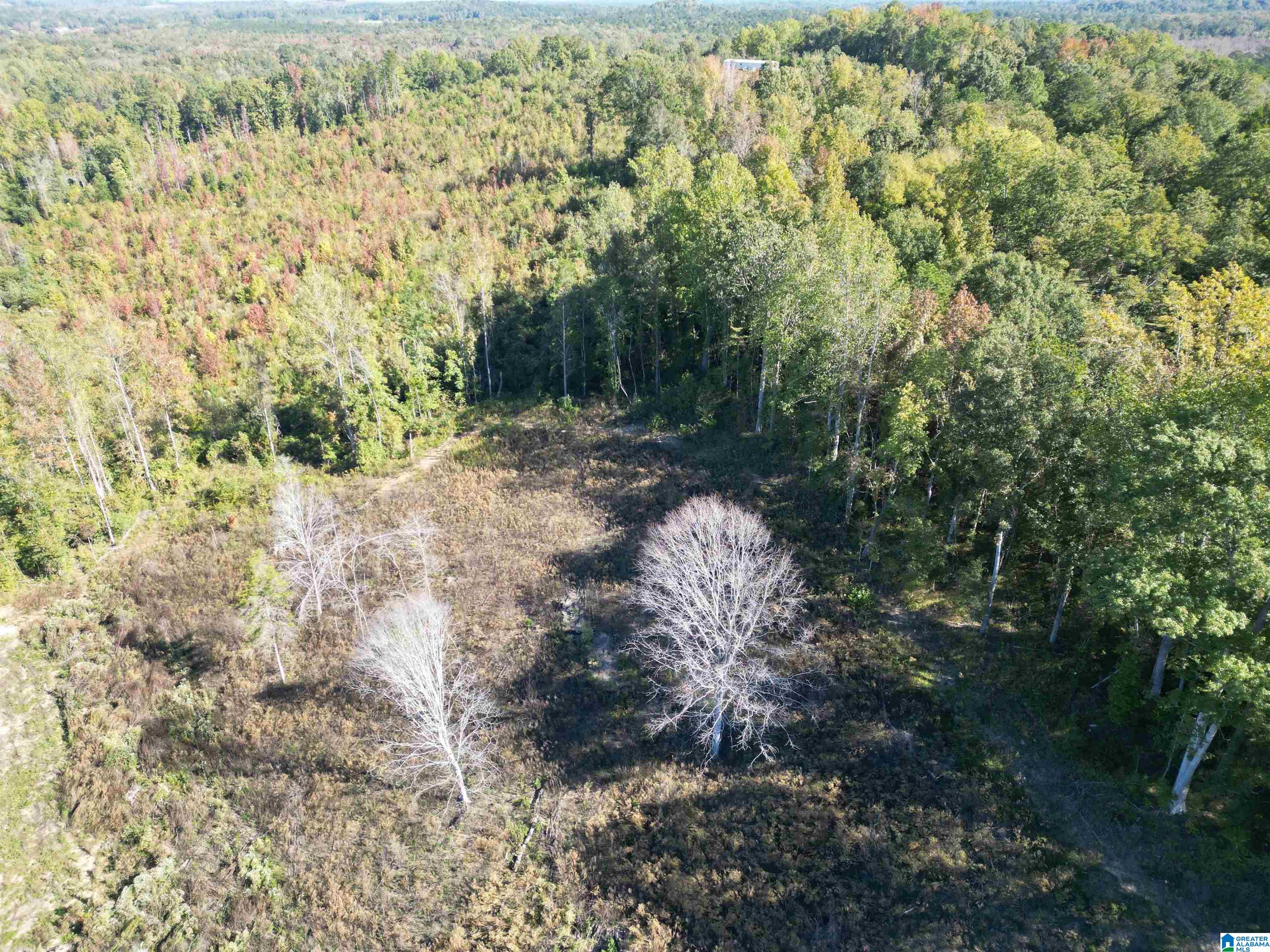 0 Payne Lk Road, Unit 1 Brent, AL 35034 - Photo 4 of 9
