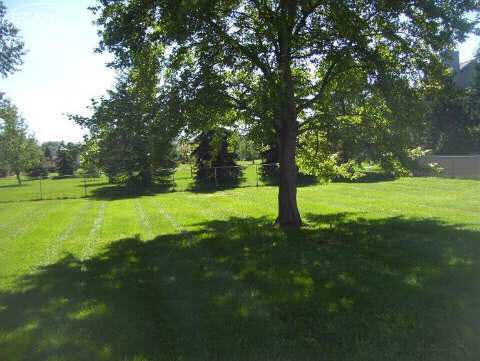 8159 Carpenter Road Flushing, MI 48433 - Photo 47 of 48 20448798-46.JPG