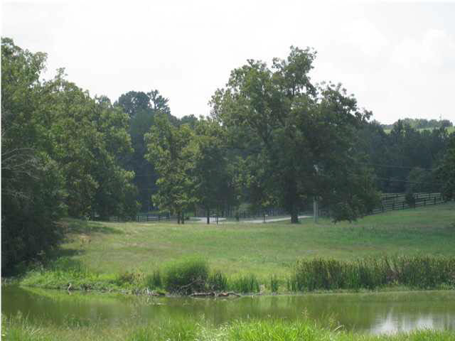 0 View Pointe Cove, Unit 13 Clinton, MS 39056 - Photo 3 of 7 Photo 3