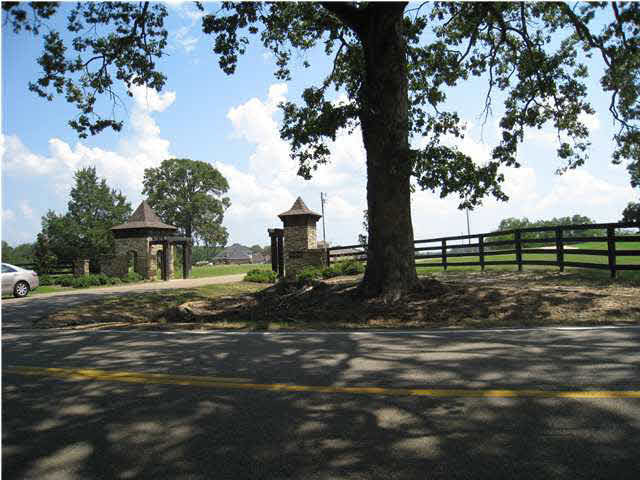 0 View Pointe Cove, Unit 13 Clinton, MS 39056 - Photo 4 of 7 Photo 4