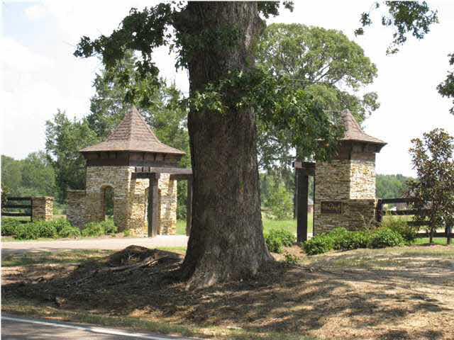 0 View Pointe Cove, Unit 13 Clinton, MS 39056 - Photo 5 of 7 Photo 5