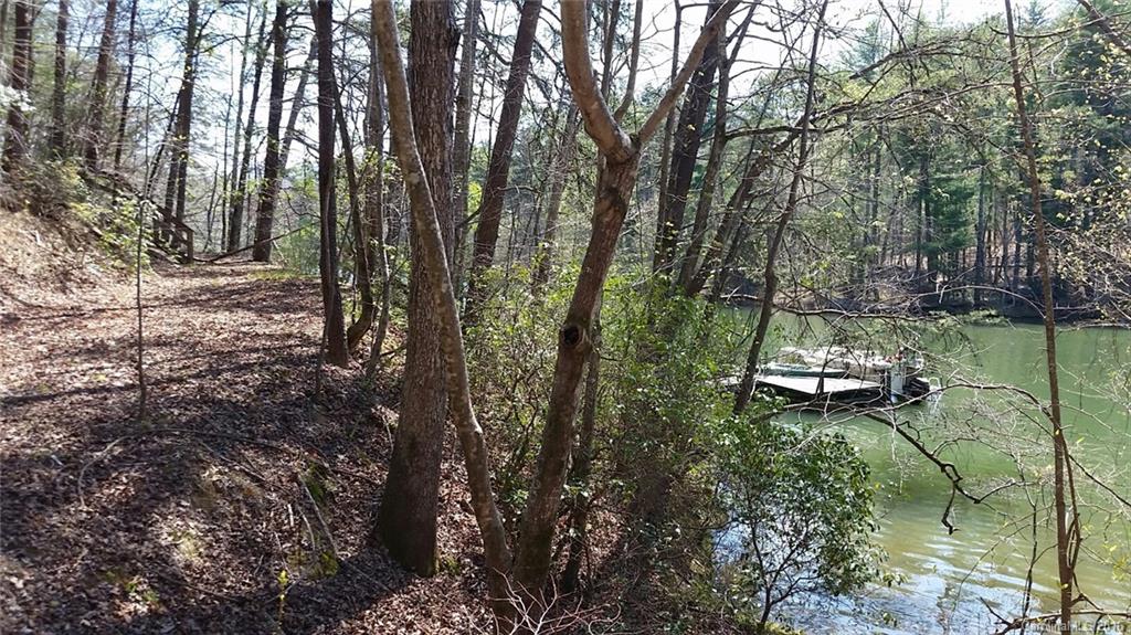 12 South Cove Road Mill Spring, NC 28756 - Photo 2 of 7
