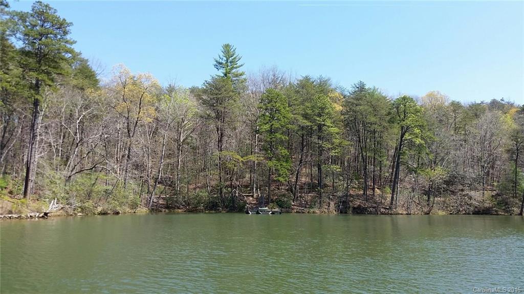 12 South Cove Road Mill Spring, NC 28756 - Photo 3 of 7