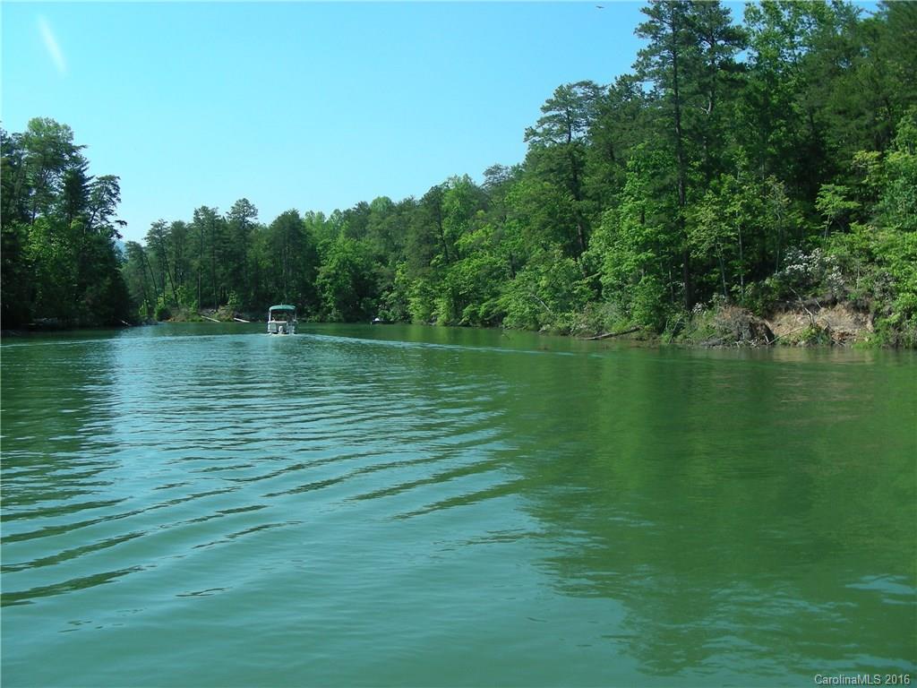 12 South Cove Road Mill Spring, NC 28756 - Photo 5 of 7