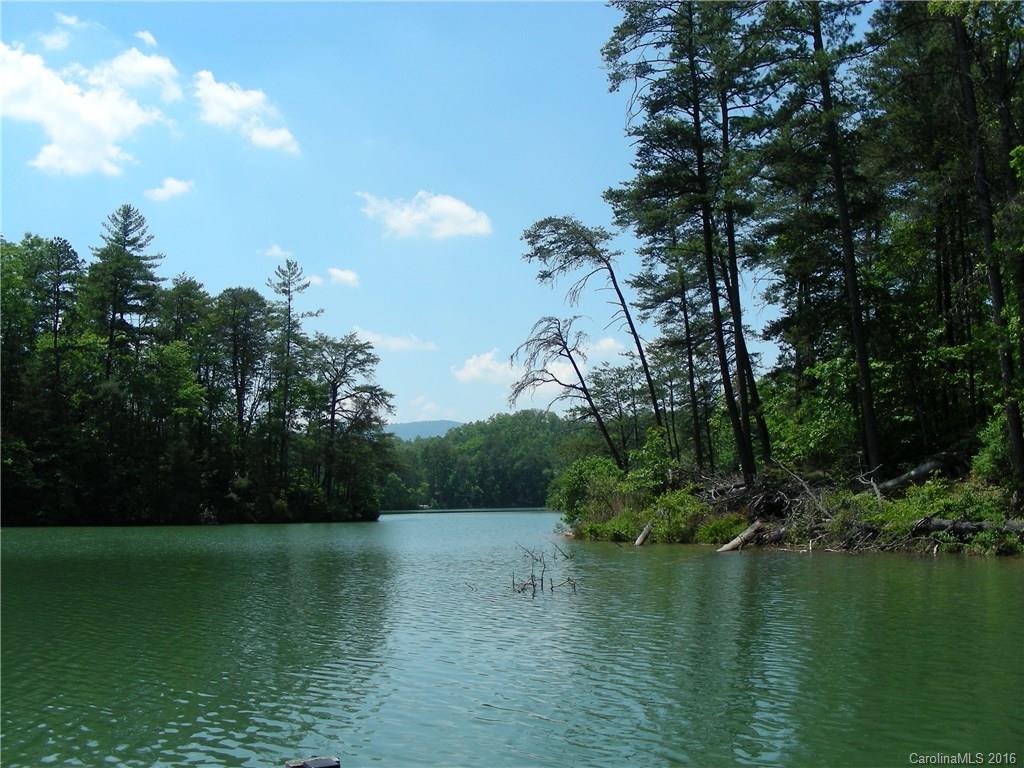 12 South Cove Road Mill Spring, NC 28756 - Photo 7 of 7