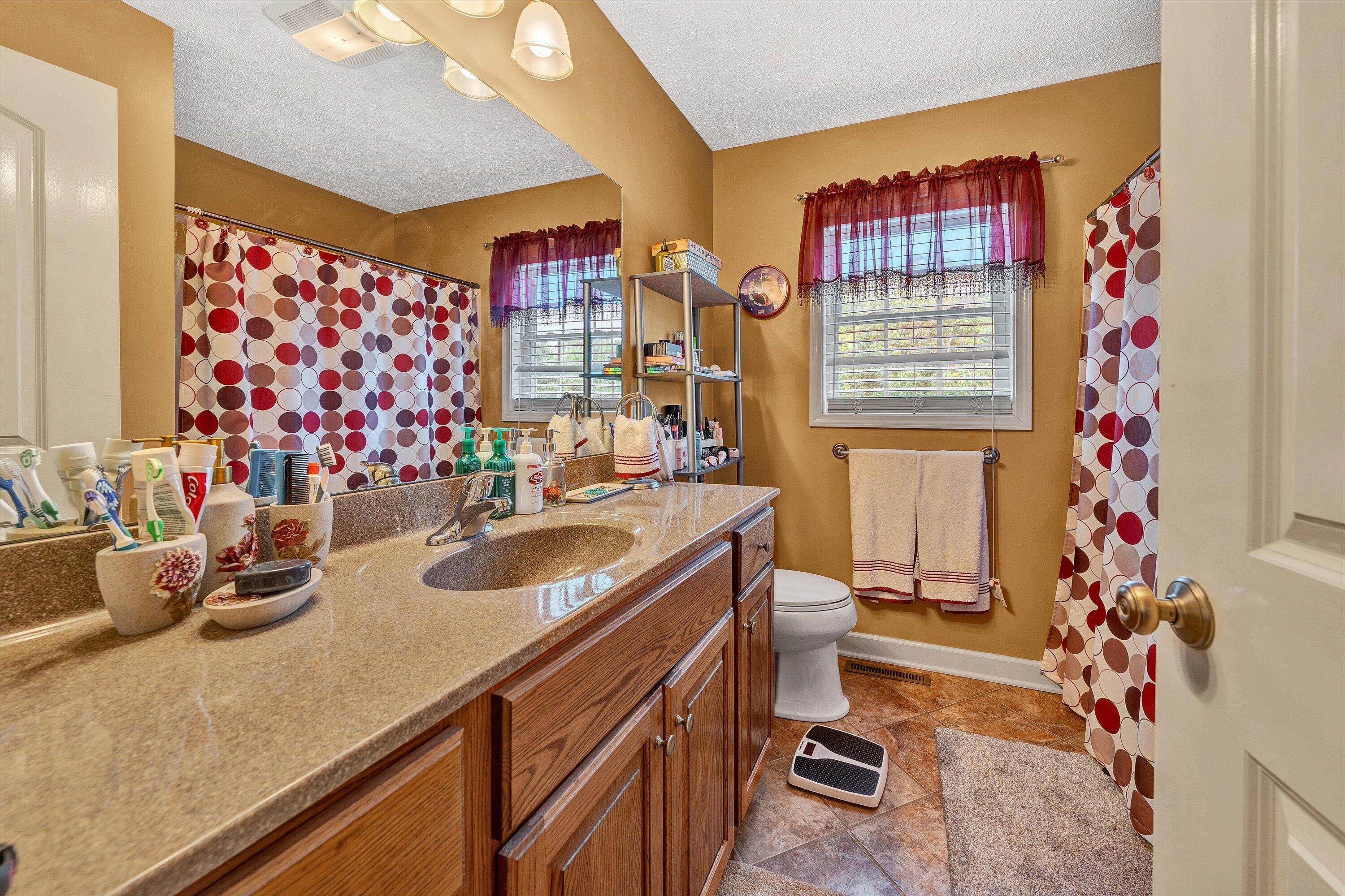 2530 Edwardsville Road Hardy, VA 24101 - Photo 17 of 30 a bathroom with a sink a toilet and shower curtain