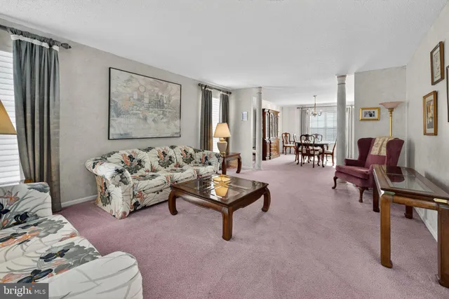 a living room with furniture rug and window