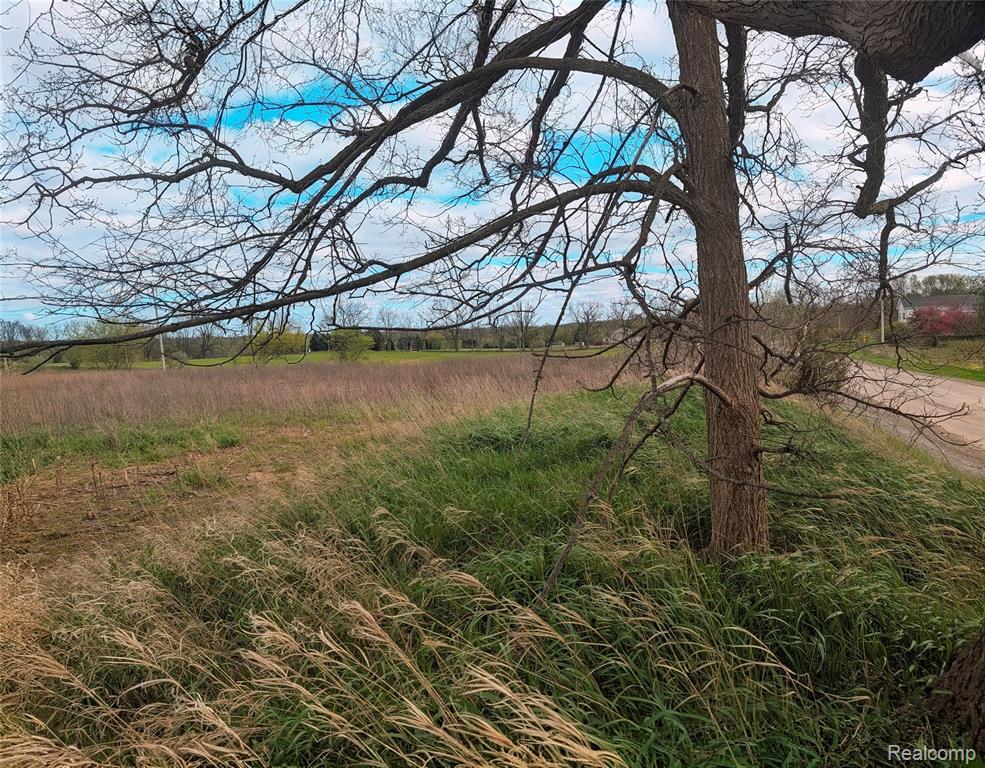 Parcel E Hogan Road Linden, MI 48451 - Photo 8 of 22
