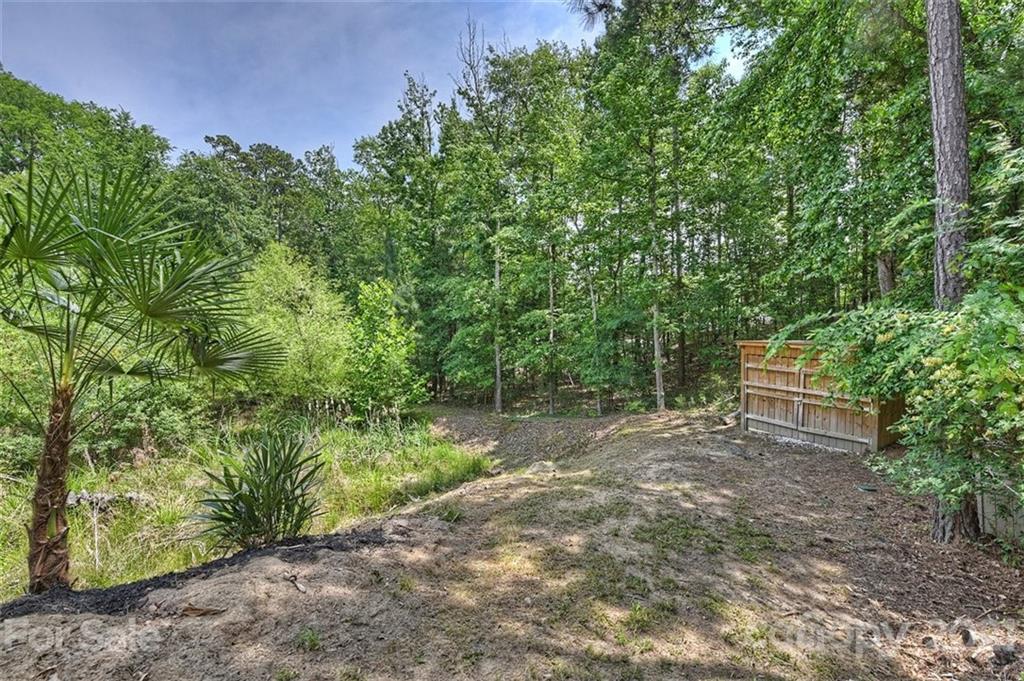 2428 Enchanto Road York, SC 29745 - Photo 43 of 45 Gallery Image 43