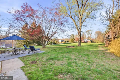 a view of a park with large trees