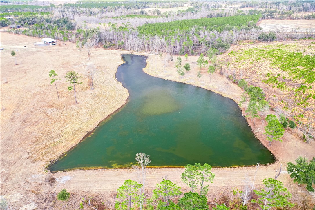 5141 Cedar Crossing Road Uvalda, GA 30473 - Photo 9 of 75