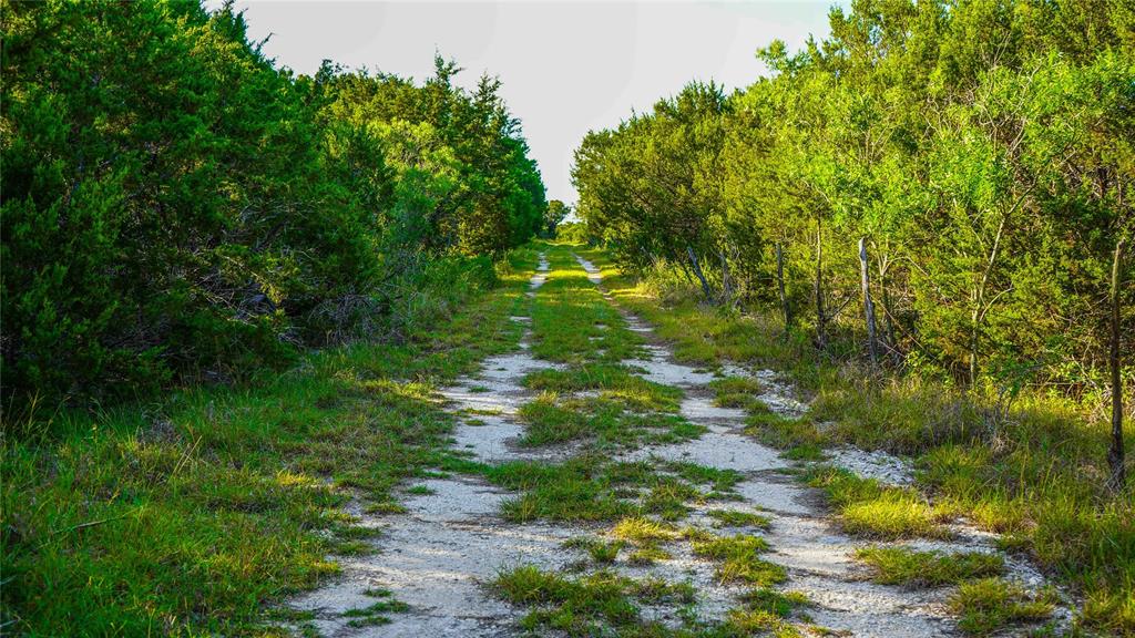 Unk Unk Private Road, Unit 2131 Iredell, TX 76649 - Photo 15 of 36 a backyard of a house with lots of green space