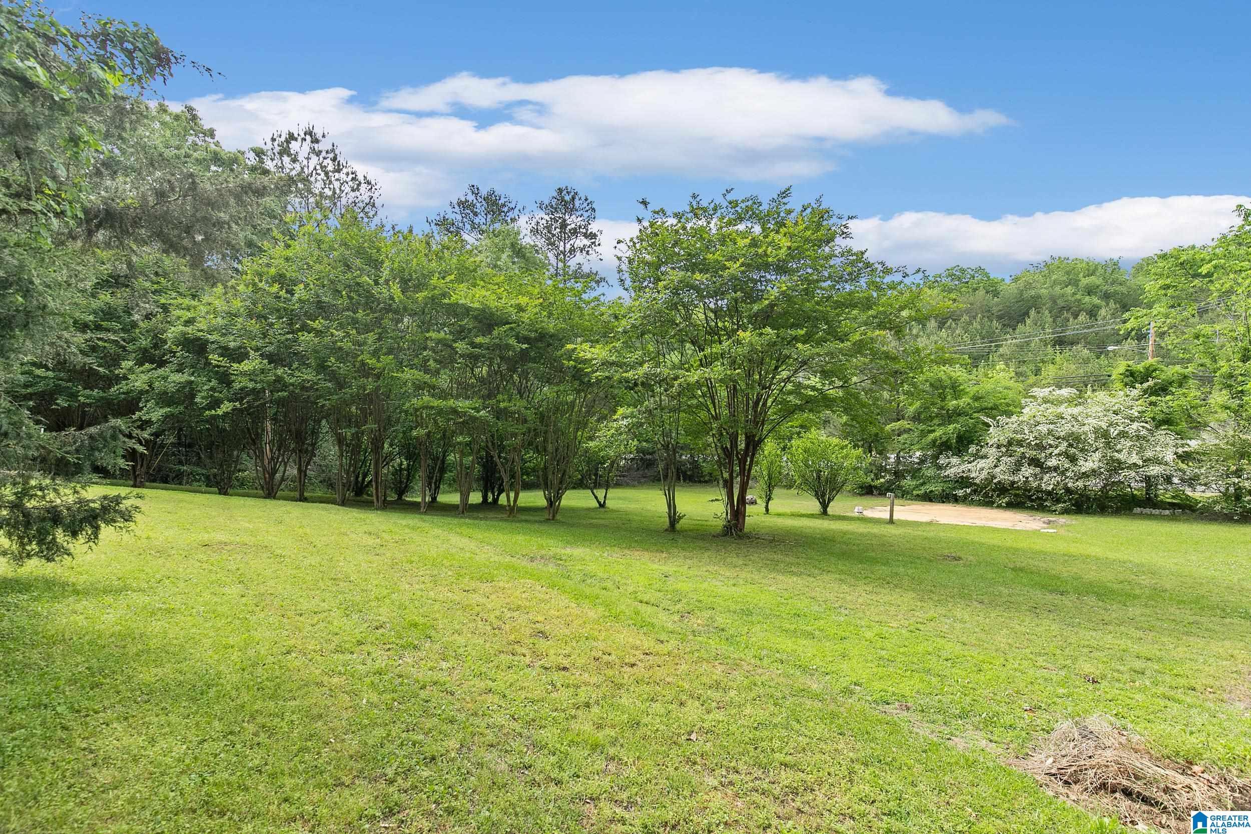 5099 Dug Hollow Road Pinson, AL 35126 - Photo 40 of 42