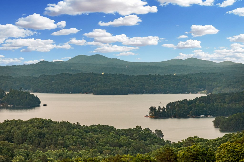 61 Ripshin Heights Blue Ridge, GA 30513 - Photo 9 of 28