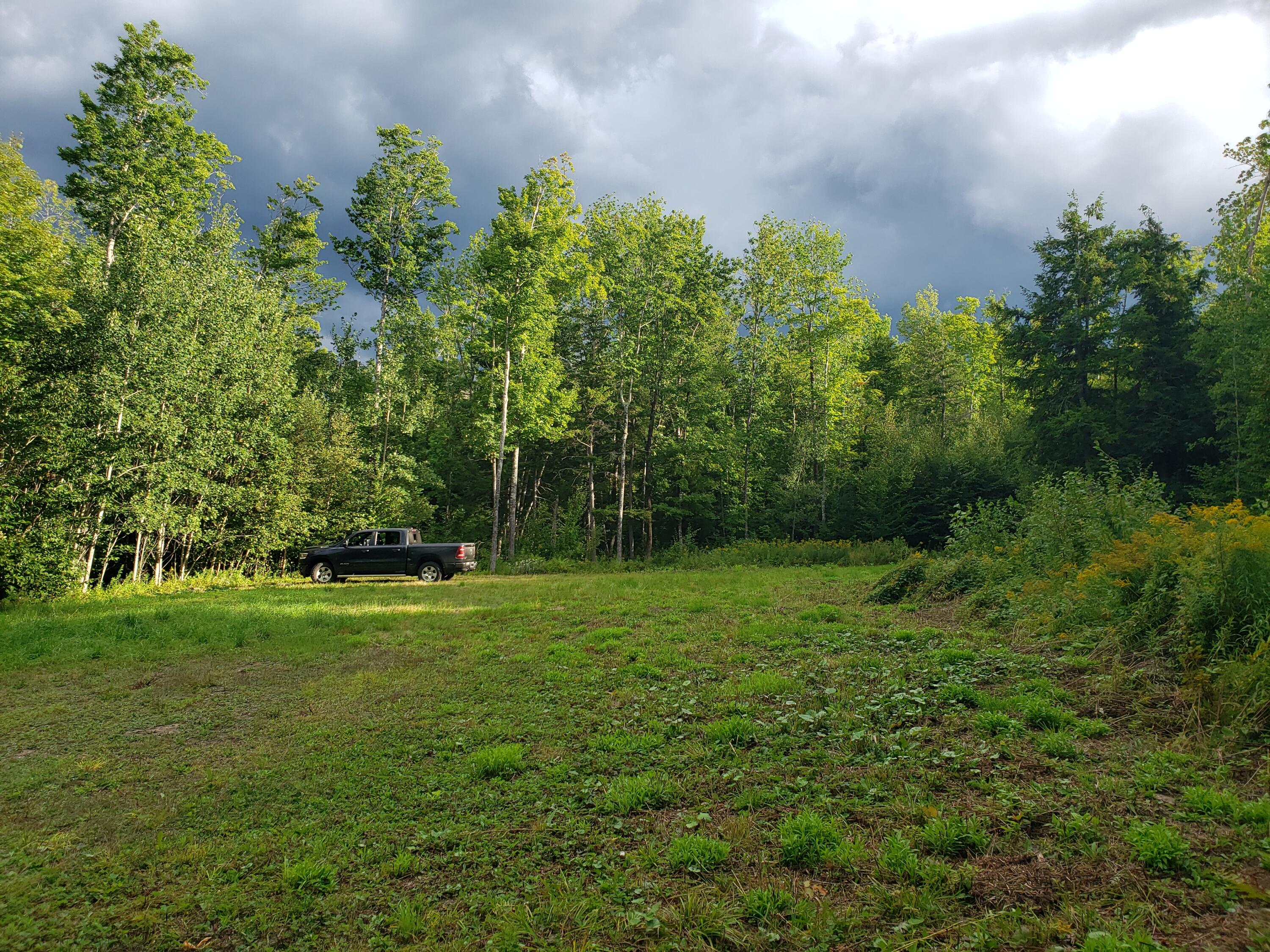 0 Stanley Road New Vineyard, ME 04956 - Photo 9 of 20 20220816_173536
