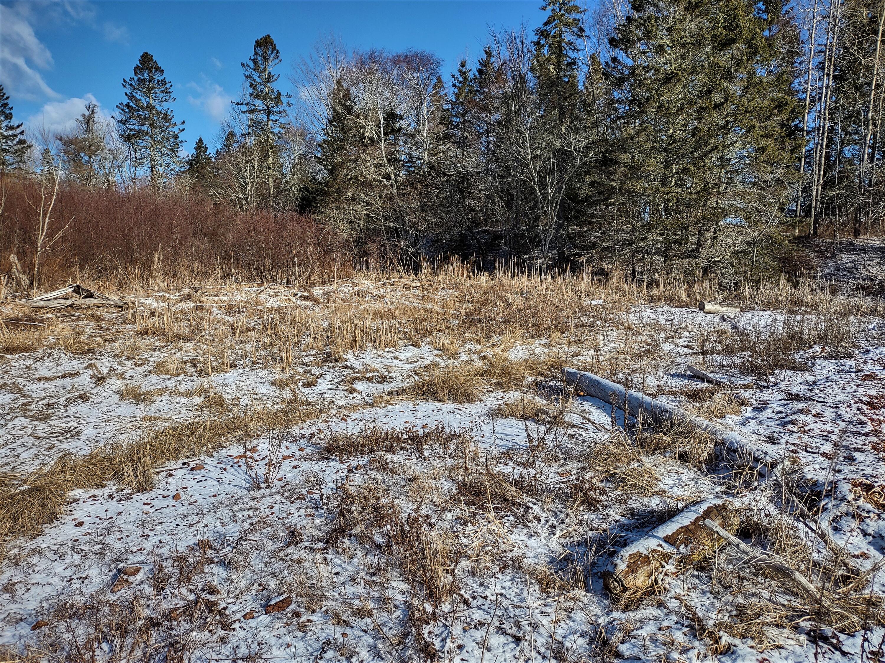 Tbd Tbd Us-1 Route Robbinston, ME 04671 - Photo 7 of 13 Robbinston View Land