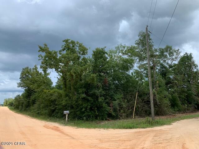 20318 Sweetwater Branch Road Fountain, FL 32438 - Photo 5 of 6 Gallery Image 5