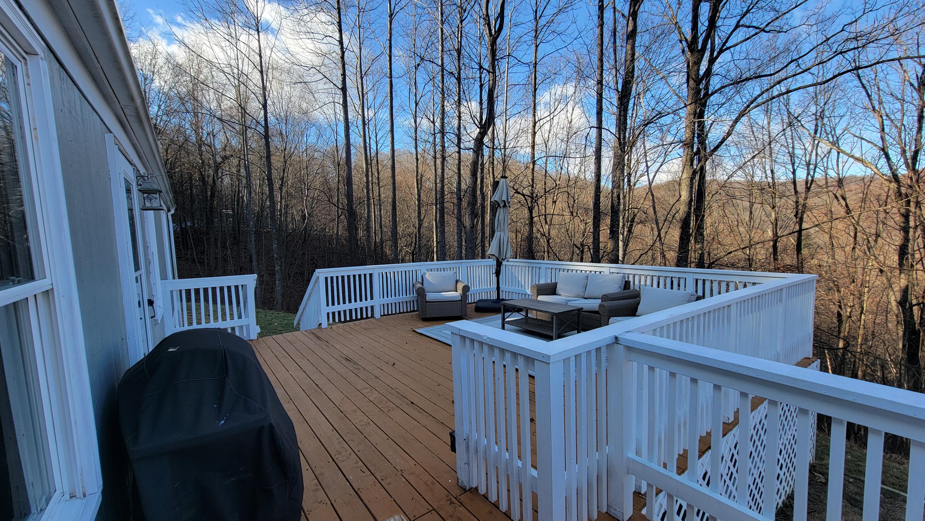 4350 Mountain View Church Road Blue Ridge, VA 24064 - Photo 20 of 30 a view of balcony and patio