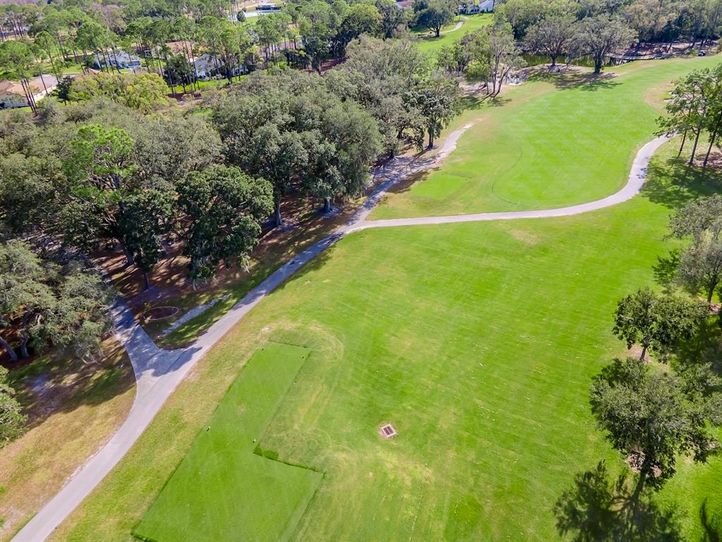 9620 Springmeadow Drive New Port Richey, FL 34655 - Photo 42 of 57 Gallery Image 42