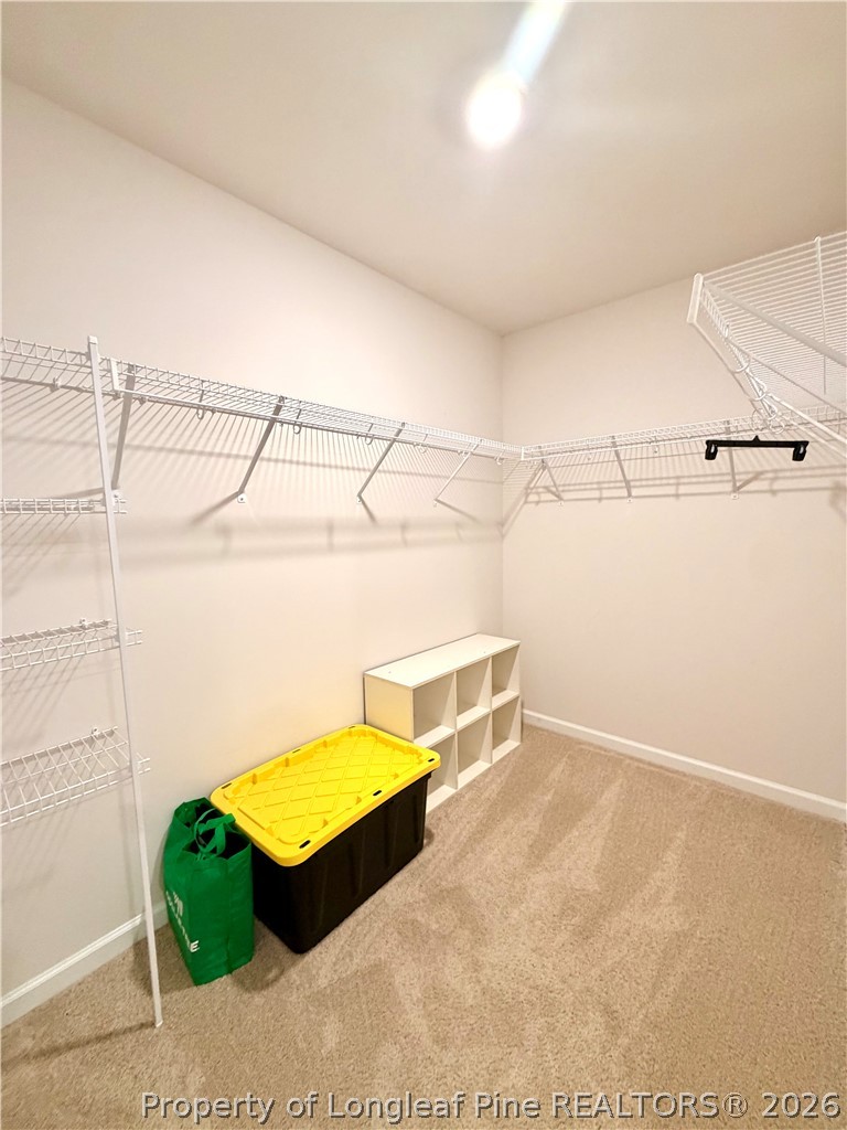 305 Roberts Place Carthage, NC 28327 - Photo 23 of 36
