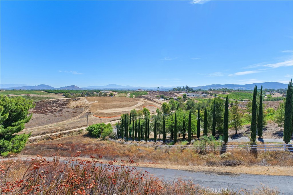 34881 Los Nogales Road Temecula, CA 92592 - Photo 8 of 50 Views from the steps outside the home! Amazing Vineyards views and hot air balloons daily!
