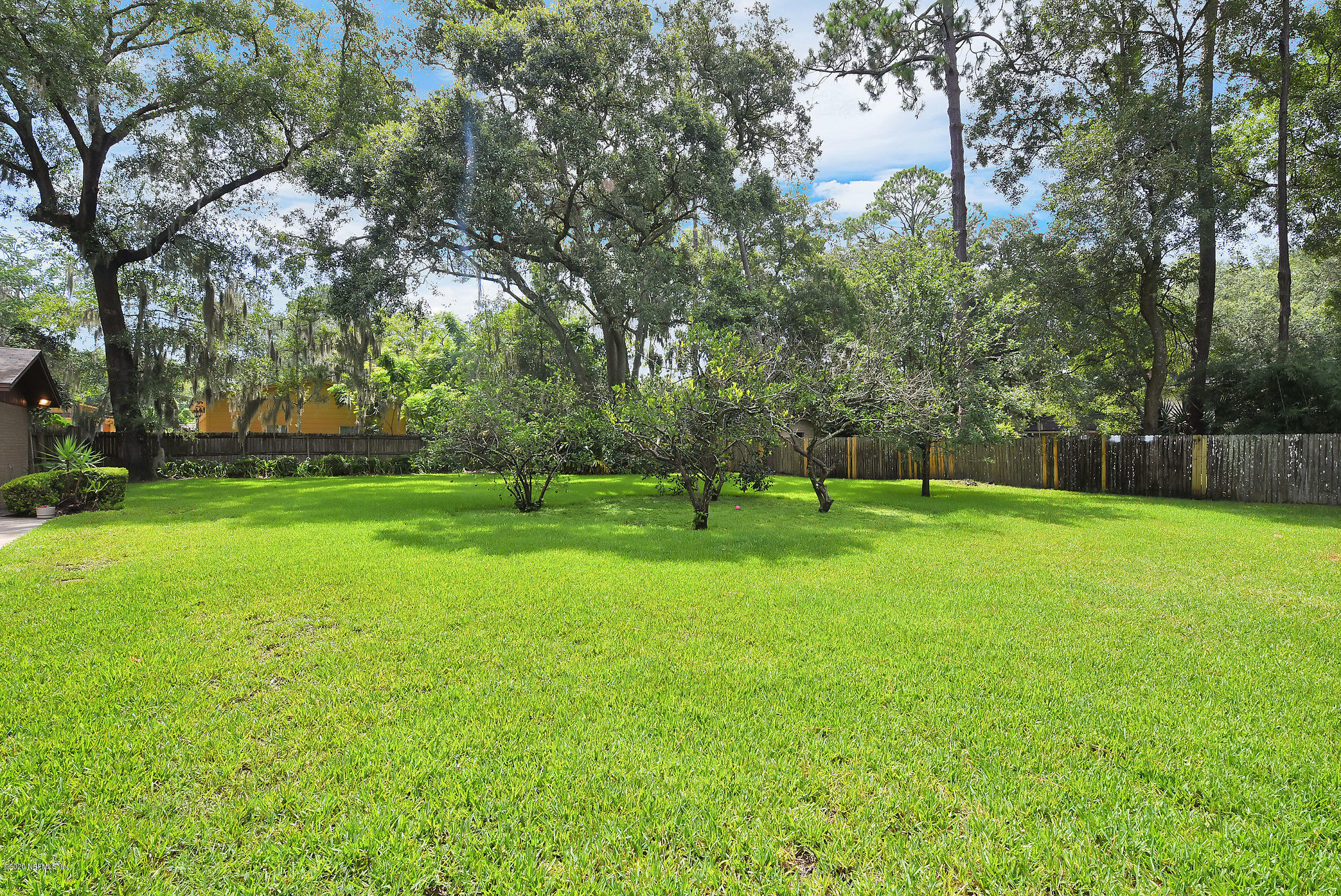 2854 Clairboro Road Jacksonville, FL 32223 - Photo 3 of 41 Mature, FRUIT BEARING Trees