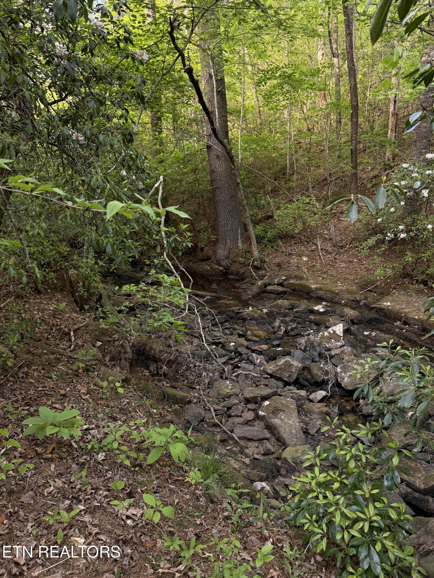 0 Genesis Road Crossville, TN 38555 - Photo 8 of 15