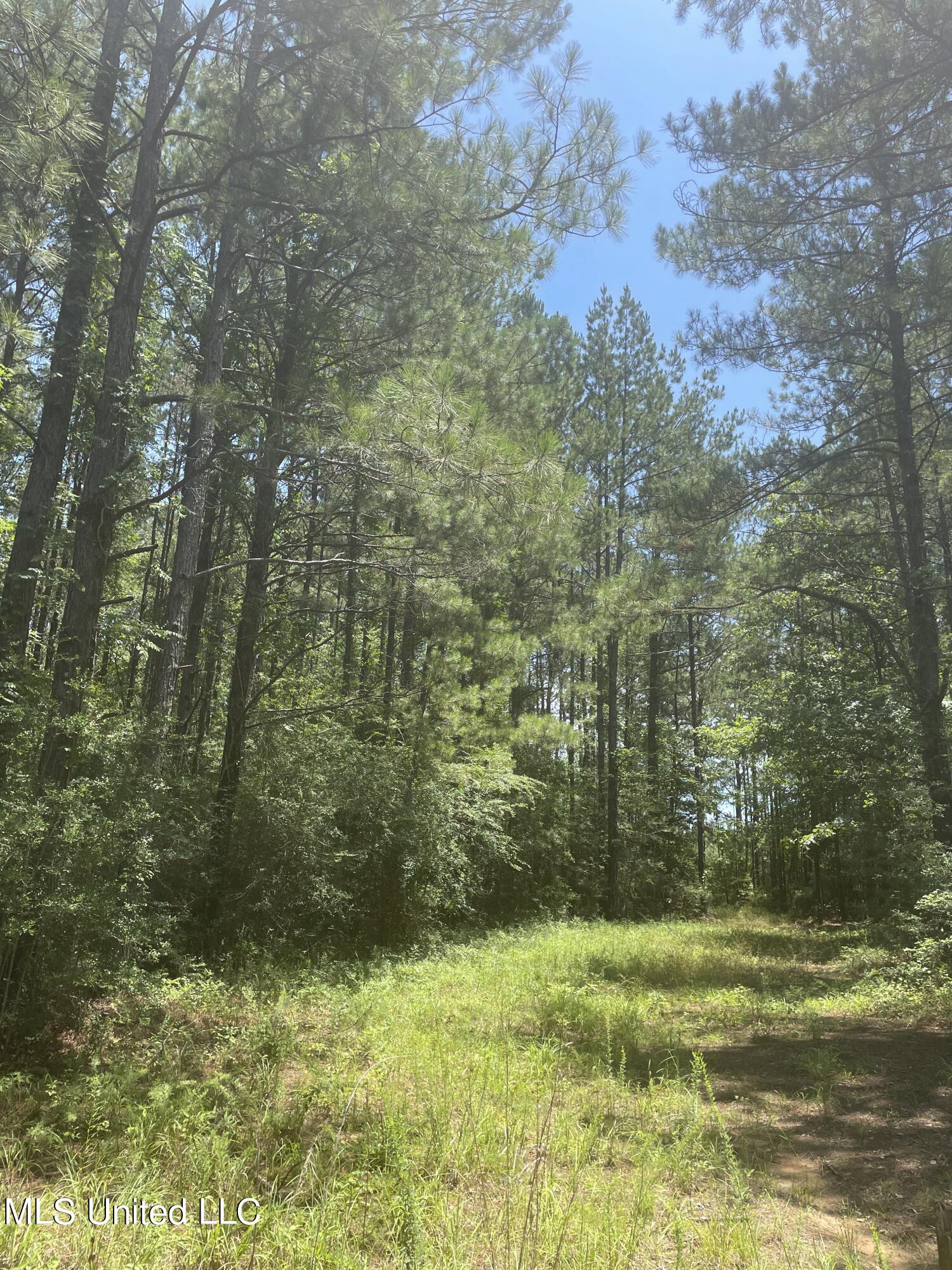 Hunting Property