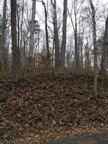 2.46-acres Powder House Road Powell, TN 37849 - Photo 1 of 10 2.46 Acre Powder House Rd