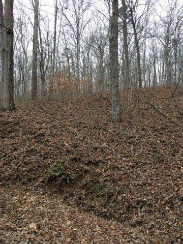 2.46-acres Powder House Road Powell, TN 37849 - Photo 2 of 10 Great Location