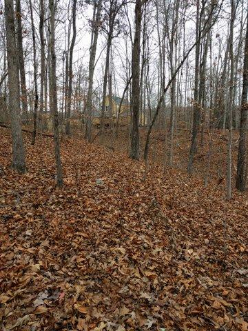 2.46-acres Powder House Road Powell, TN 37849 - Photo 3 of 10 2.46 Acre Powder House Rd