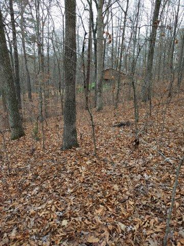2.46-acres Powder House Road Powell, TN 37849 - Photo 5 of 10 2.46 Acre Powder House Rd
