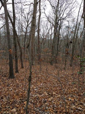2.46-acres Powder House Road Powell, TN 37849 - Photo 7 of 10 2.46 Acre Powder House Rd