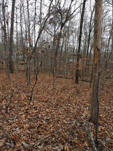 2.46-acres Powder House Road Powell, TN 37849 - Photo 8 of 10 Nice Views