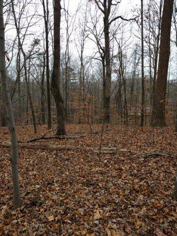 2.46-acres Powder House Road Powell, TN 37849 - Photo 9 of 10 2.46 Acre Powder House Rd