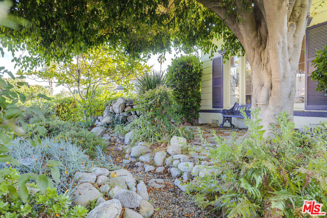 455 South Hamel Road Los Angeles, CA 90048 - Photo 7 of 31 a view of a garden with a tree