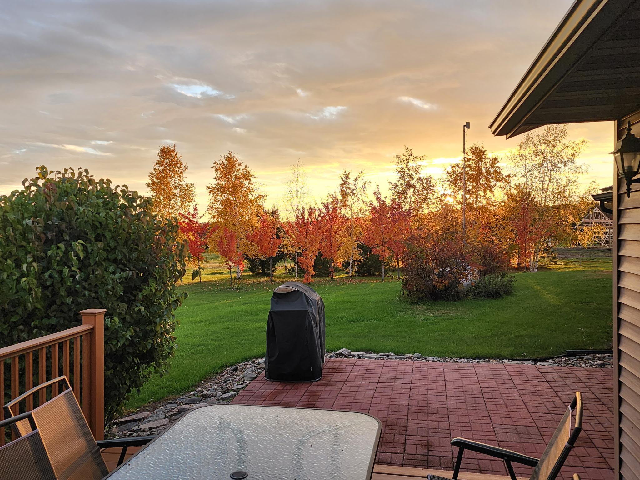 8695 Dosh Lane Fort Ripley, MN 56449 - Photo 48 of 53