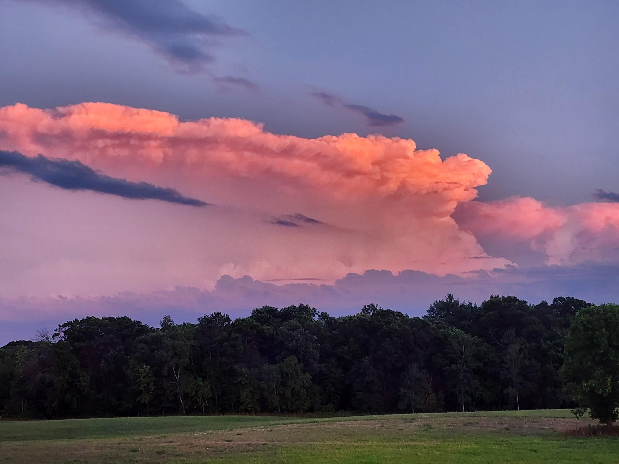 8695 Dosh Lane Fort Ripley, MN 56449 - Photo 51 of 53