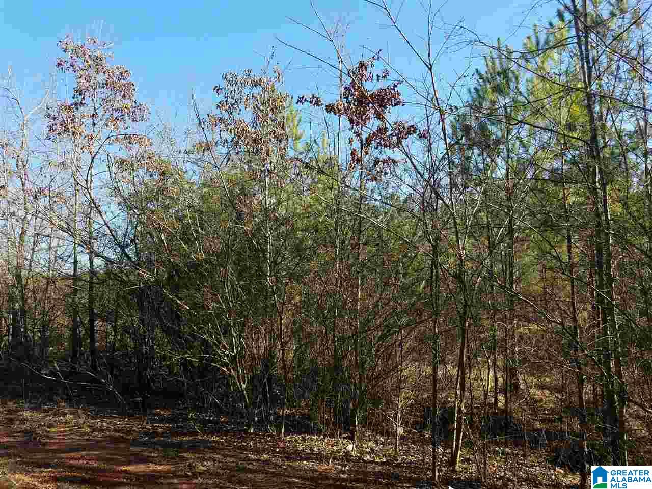 0 Cove Access Road, Unit 7 ACRES Talladega, AL 35160 - Photo 13 of 19